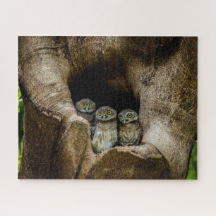 Forces Three Owls Looking Legpuzzel