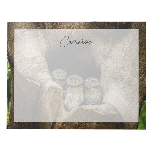 Forces | Three Owls Looking Notitieblok (Voorkant)