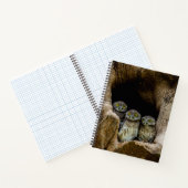 Forces | Three Owls Looking Notitieboek (Binnen)