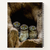 Forces | Three Owls Looking Notitieboek (Achterkant)