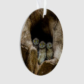 Forces | Three Owls Looking Ornament (voorkant)