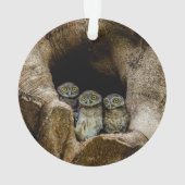 Forces | Three Owls Looking Ornament (achterkant)