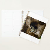 Forces | Three Owls Looking Planner (Display)