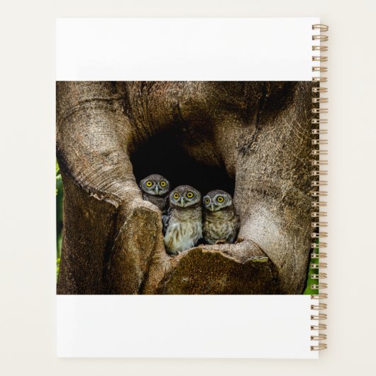 Forces | Three Owls Looking Planner (Achterkant)