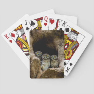 Forces   Three Owls Looking Pokerkaarten