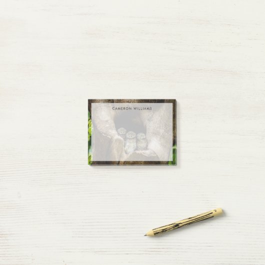 Forces | Three Owls Looking Post-it® Notes (Op bureau)