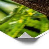 Forces | Three Owls Looking Poster (Hoek)