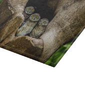 Forces | Three Owls Looking Snijplank (Hoek)