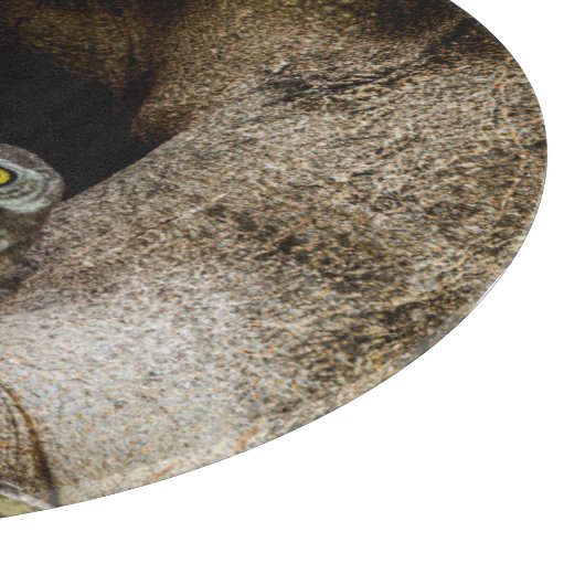 Forces | Three Owls Looking Snijplank (Hoek)