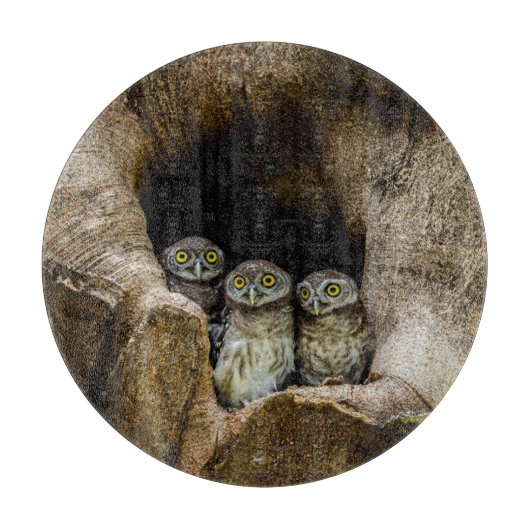 Forces | Three Owls Looking Snijplank (Voorkant)