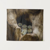 Forces | Three Owls Looking Wandkleed (Voorkant (horizontaal))