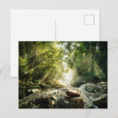 Forces | Tropical Jungle Forest Briefkaart (Voorkant / Achterkant)