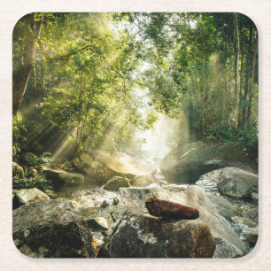 Forces Tropical Jungle Forest Kartonnen Onderzetters