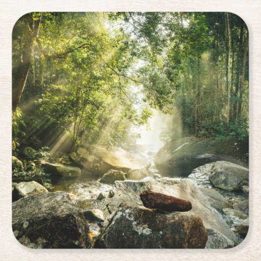 Forces | Tropical Jungle Forest Kartonnen Onderzetters (Voorkant)