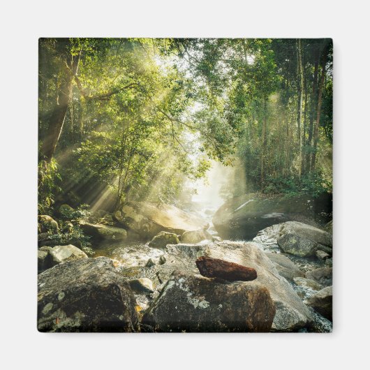 Forces | Tropical Jungle Forest Magneet (Voorkant)