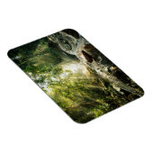 Forces | Tropical Jungle Forest Magneet (Rechterzijde)