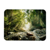 Forces | Tropical Jungle Forest Magneet (Horizontaal)