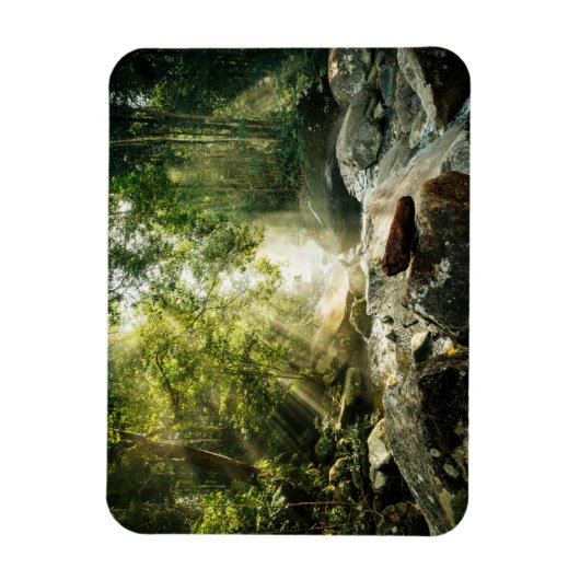 Forces | Tropical Jungle Forest Magneet (Verticaal)