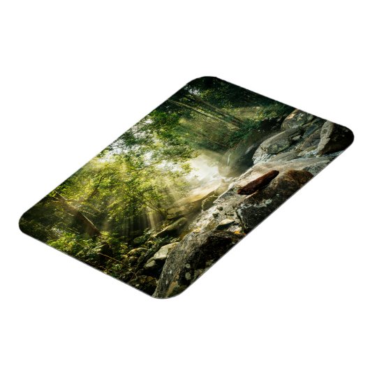 Forces | Tropical Jungle Forest Magneet (Linkerzijde)