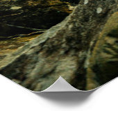 Forces | Tropical Jungle Forest Poster (Hoek)