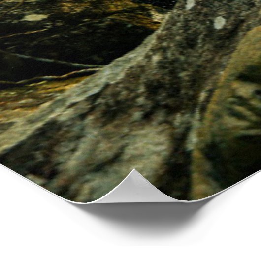 Forces | Tropical Jungle Forest Poster (Hoek)