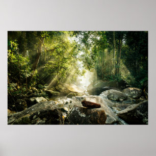Forces   Tropical Jungle Forest Poster