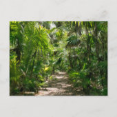 Forces Tropical Rainforest Tulum Mexico Briefkaart (Voorkant)