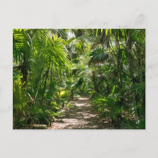 Forces Tropical Rainforest Tulum Mexico Briefkaart (Voorkant)