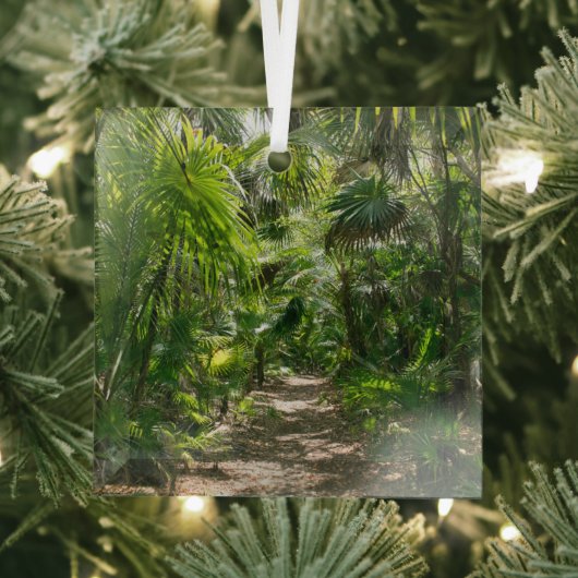 Forces Tropical Rainforest Tulum Mexico Glas Ornament (Insitu)
