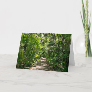 Forces Tropical Rainforest Tulum Mexico Kaart