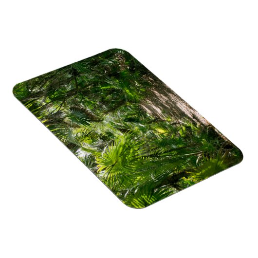 Forces Tropical Rainforest Tulum Mexico Magneet (Rechterzijde)