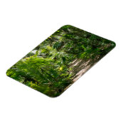 Forces Tropical Rainforest Tulum Mexico Magneet (Linkerzijde)