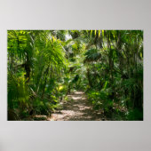 Forces Tropical Rainforest Tulum Mexico Poster (Voorkant)