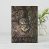 Forces Two Owls Looking Bedankkaart (Staand voorkant)