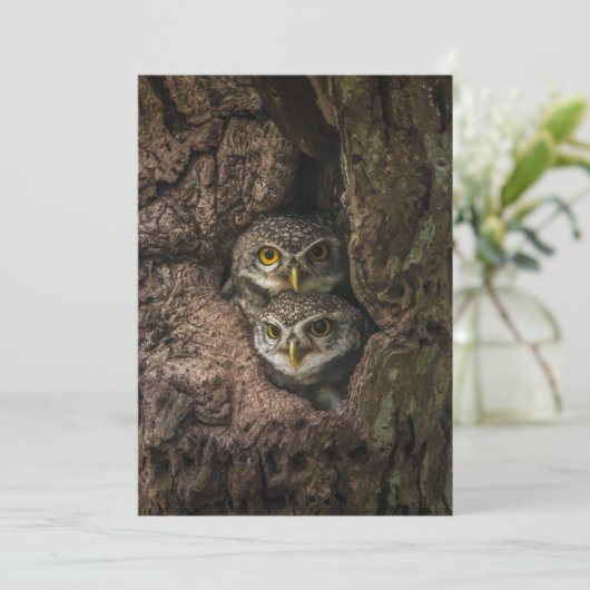 Forces Two Owls Looking Bedankkaart (Staand voorkant)