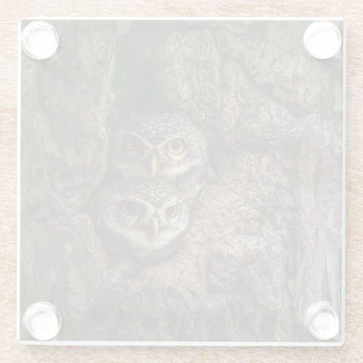 Forces Two Owls Looking Glazen Onderzetter (Achterkant)