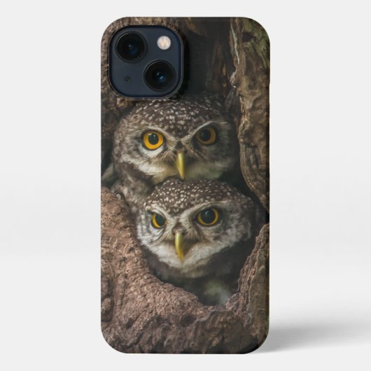 Forces Two Owls Looking iPhone Hoesje (Achterkant)