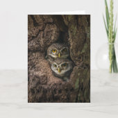 Forces Two Owls Looking Kaart (Voorkant)