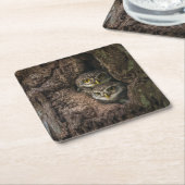 Forces Two Owls Looking Kartonnen Onderzetters (Schuin)
