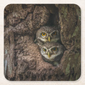 Forces Two Owls Looking Kartonnen Onderzetters (Voorkant)