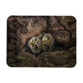 Forces Two Owls Looking Magneet (Horizontaal)