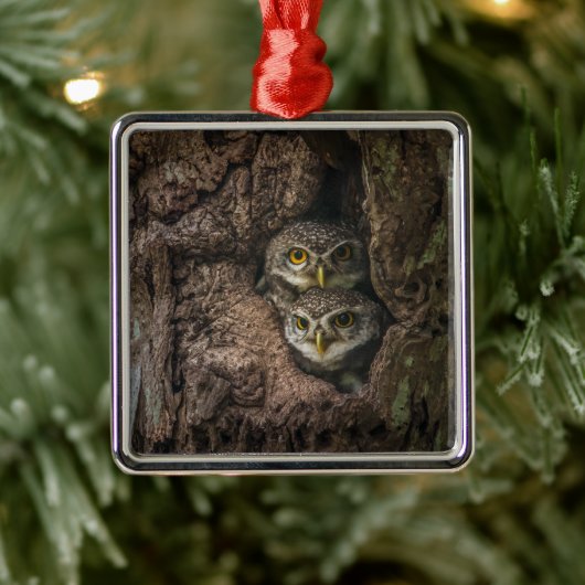 Forces Two Owls Looking Metalen Ornament (Boom)