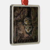 Forces Two Owls Looking Metalen Ornament (Rechts)