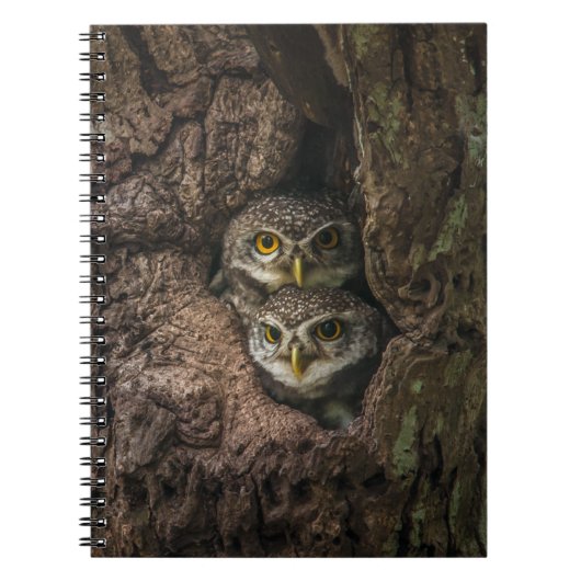 Forces Two Owls Looking Notitieboek (Voorkant)