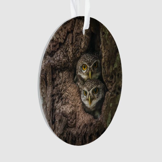 Forces Two Owls Looking Ornament (voorkant)