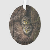 Forces Two Owls Looking Ornament (voorkant)