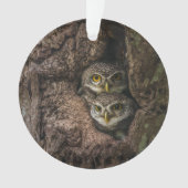 Forces Two Owls Looking Ornament (voorkant)
