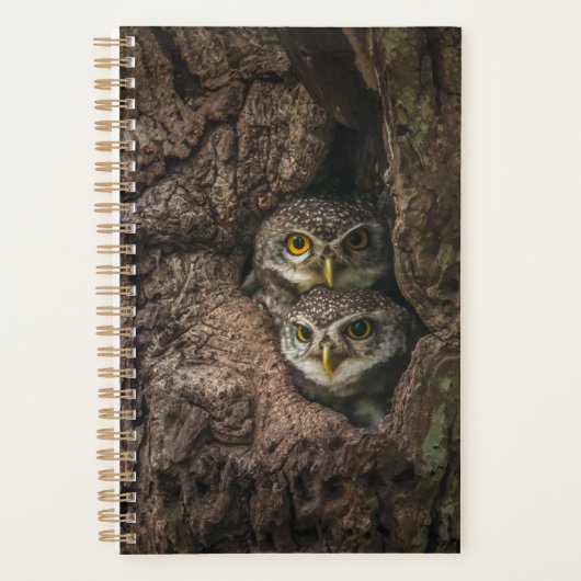 Forces Two Owls Looking Planner (Voorkant)