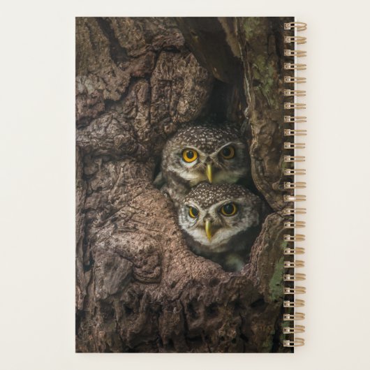 Forces Two Owls Looking Planner (Achterkant)