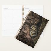 Forces Two Owls Looking Planner (Display)